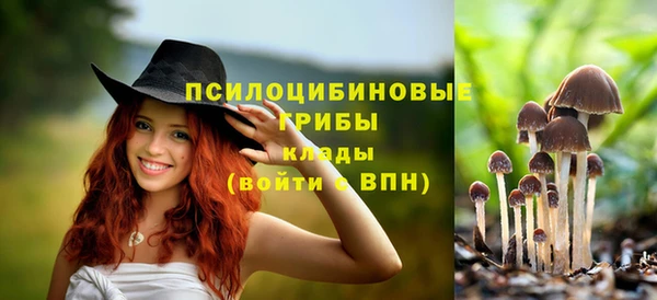 каннабис Алзамай