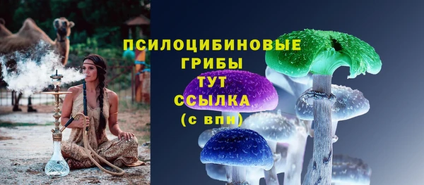 эйфоретик Алексин