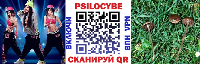 Галлюциногенные грибы ЛСД Бирюч
